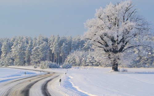 3Snöbild.jpg
